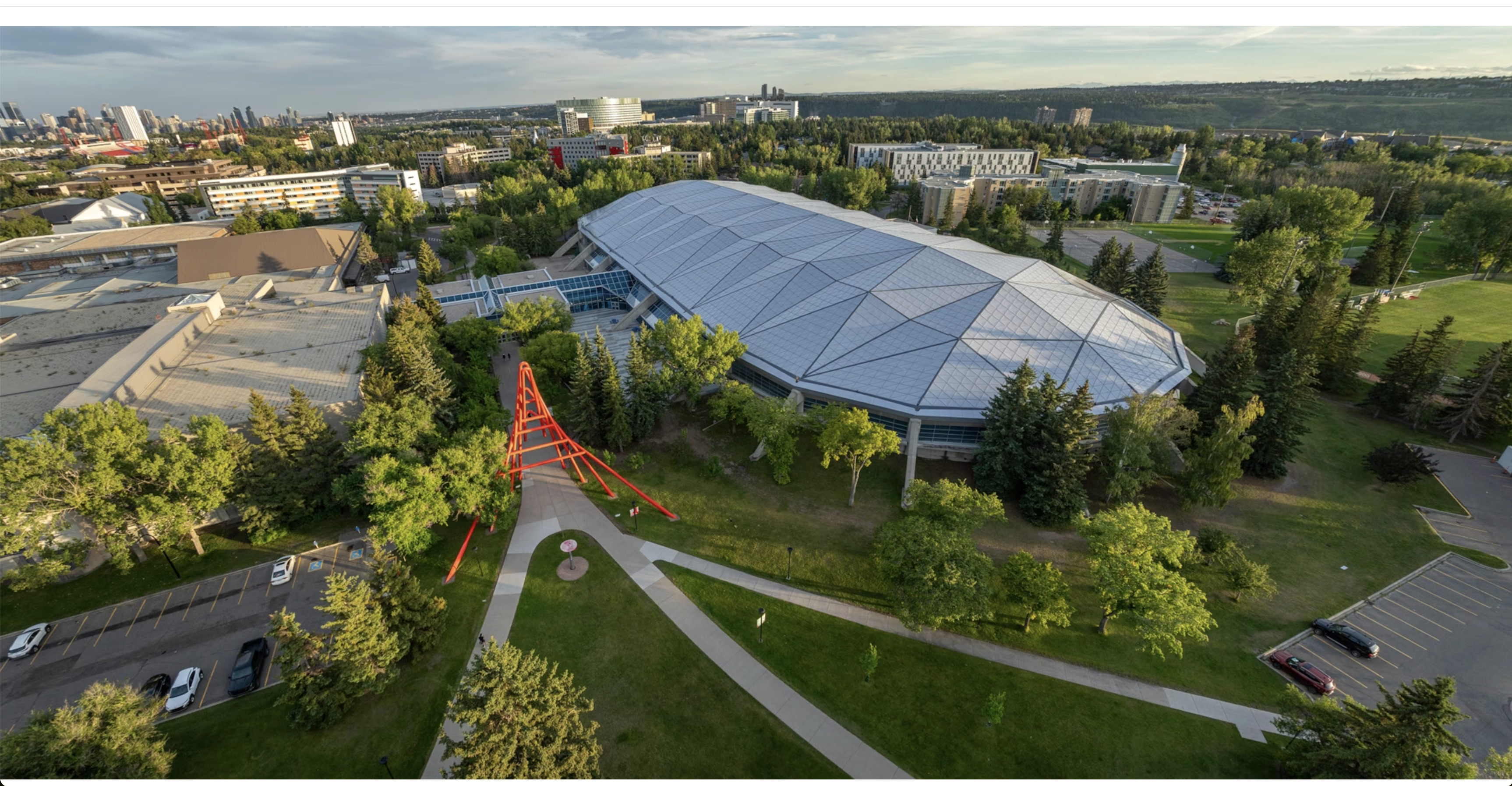 The science behind some of the world's fastest ice image 3