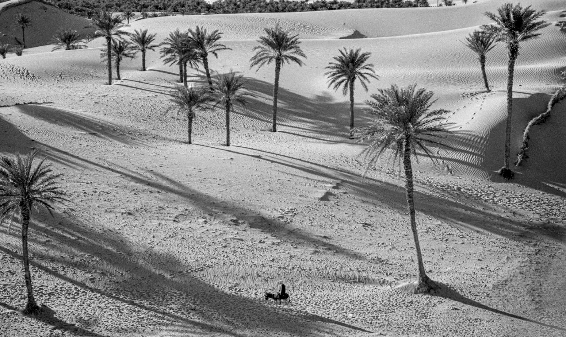 Never-before-seen images from Nat Geo's epic Sahara road trip image 4