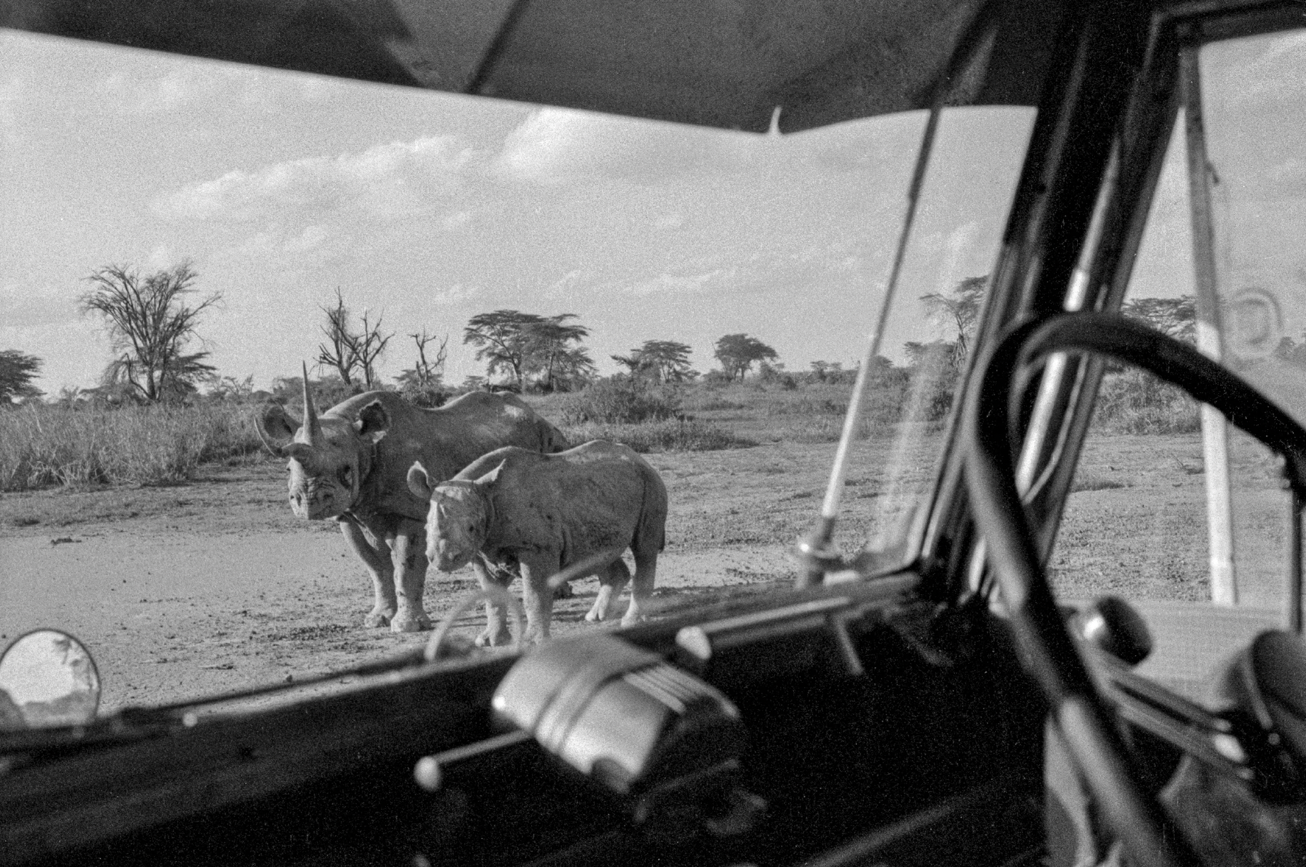 Never-before-seen images from Nat Geo's epic Sahara road trip image 9