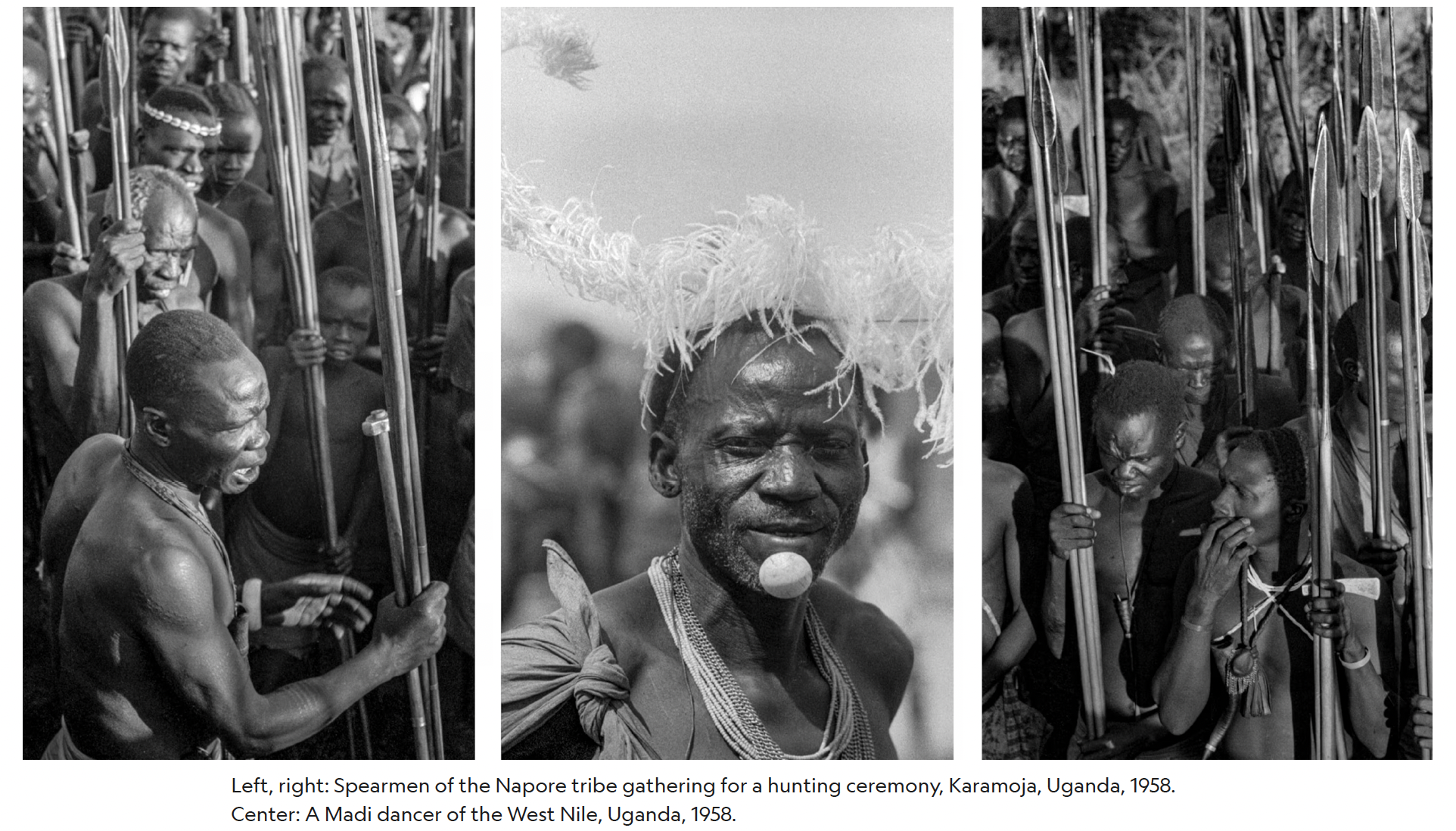 Never-before-seen images from Nat Geo's epic Sahara road trip image 13